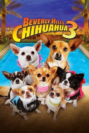 Beverly Hills Chihuahua 3- Viva La Fiesta! คุณหมาไฮโซ โกบ้านนอก 3 (2012)