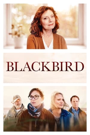 Blackbird (2019) บรรยายไทย