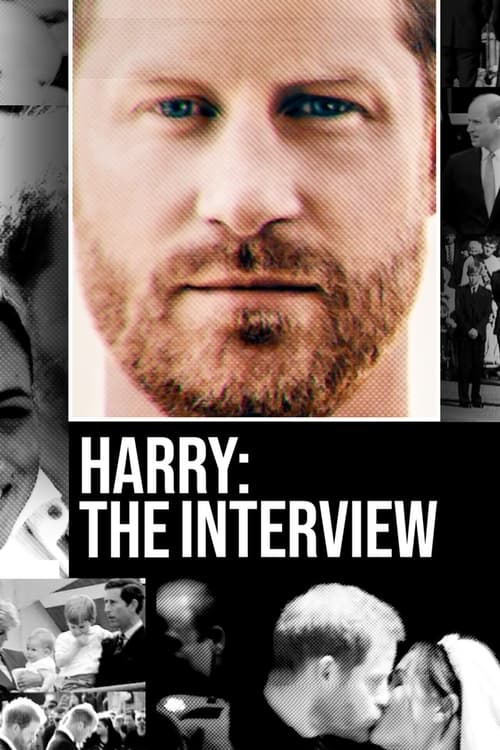 Harry – The Interview (2023) บรรยายไทย